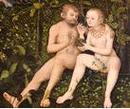 cranach