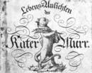 kater_murr